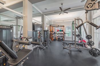 A gym with a variety of equipment including a treadmill, weights, and a bench press.